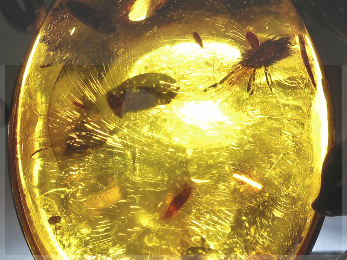 Amber jewelry and gemstone detail